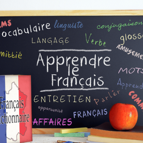 french levels - zofico
